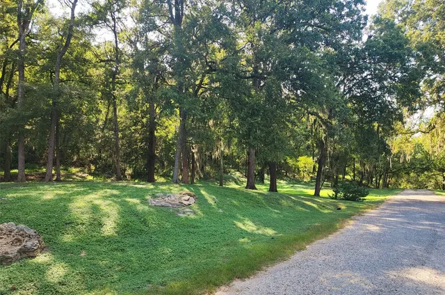 a green field with lots of trees