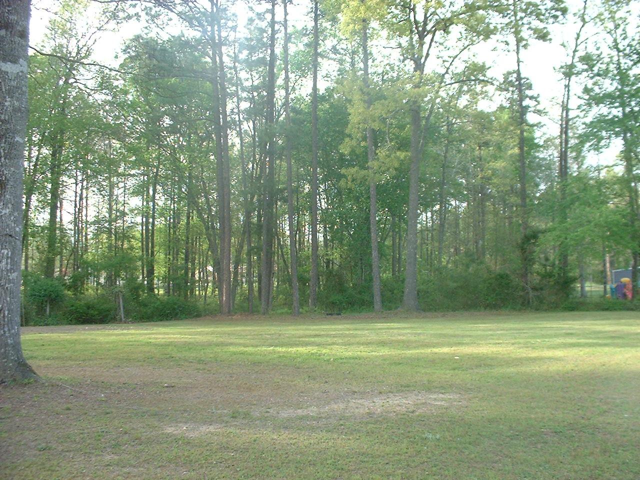 3200 Ridgebrook Drive Jasper, AL 35504 - Photo 3 of 3 Gallery Image 3