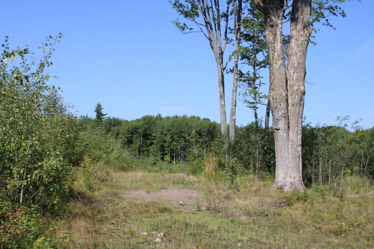Off Danish Settlement Road Phillips, WI 54555 - Photo 15 of 20 Gallery Image 15