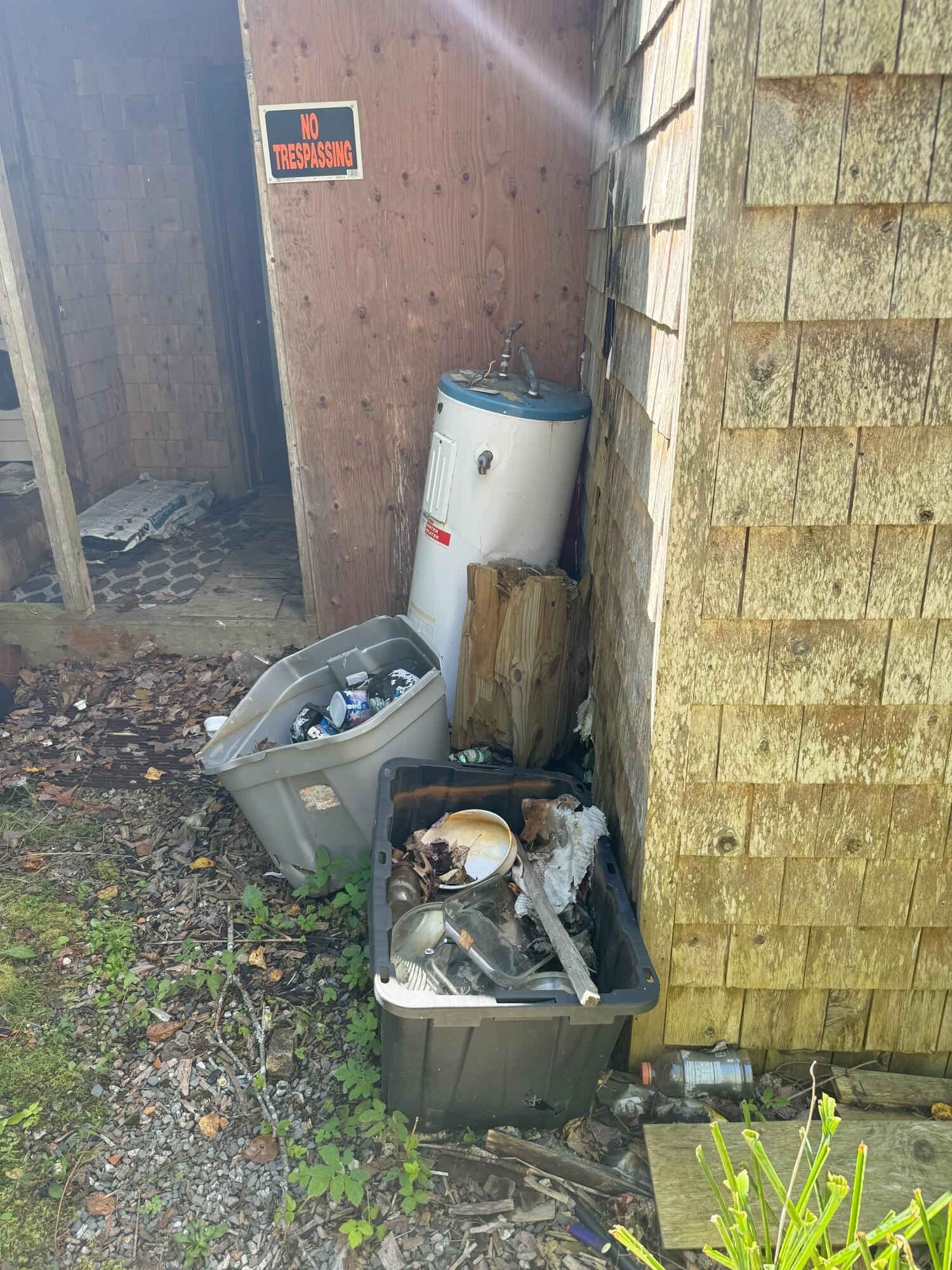 71 Williams Pond Road Bucksport, ME 04416 - Photo 18 of 33 Entry path debris