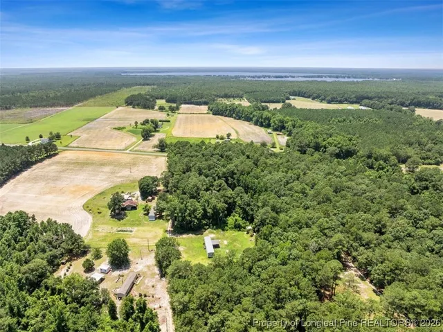 $60,000 | 145 Opossum Lane, Harrells, NC 28444