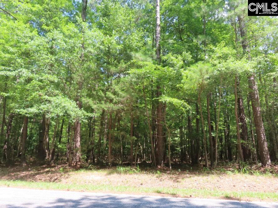 0 Park Road Ridgeway, SC 29130 - Photo 30 of 47
