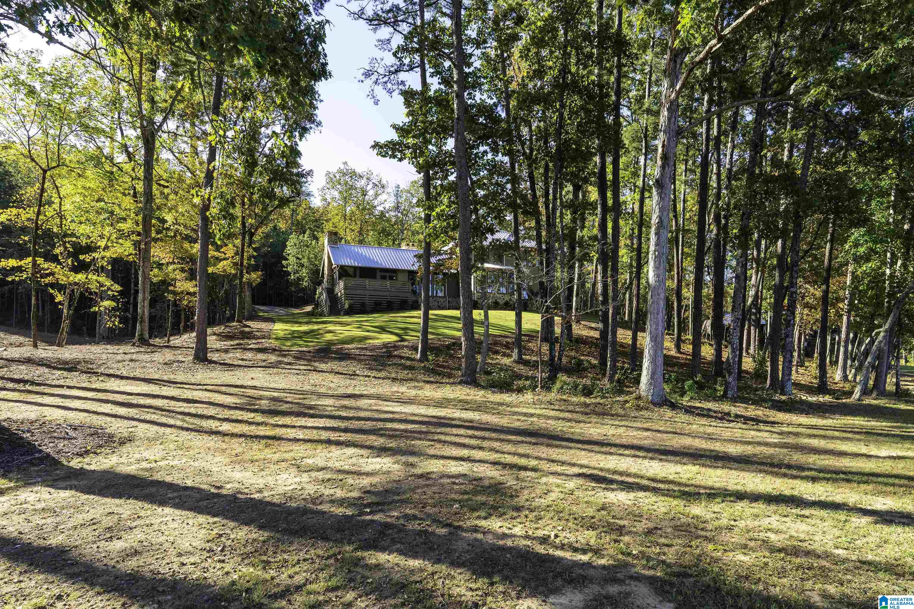 175 Saunders Bridge Road Sterrett, AL 35147 - Photo 76 of 86