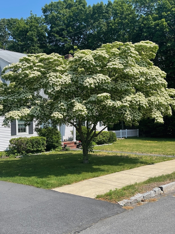 10 Dartmouth Road Andover, MA 01810 - Photo 38 of 42