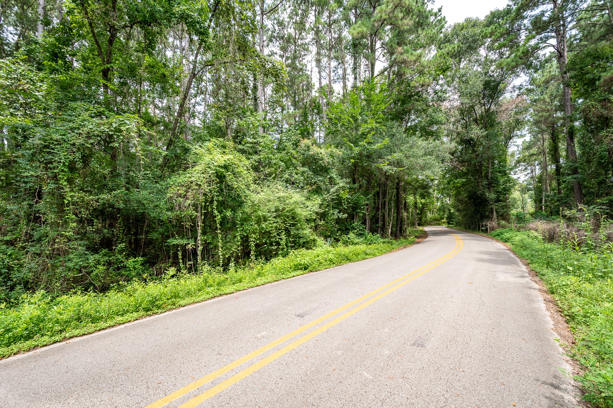 20765 Sullivan Road New Caney, TX 77357 - Photo 6 of 9