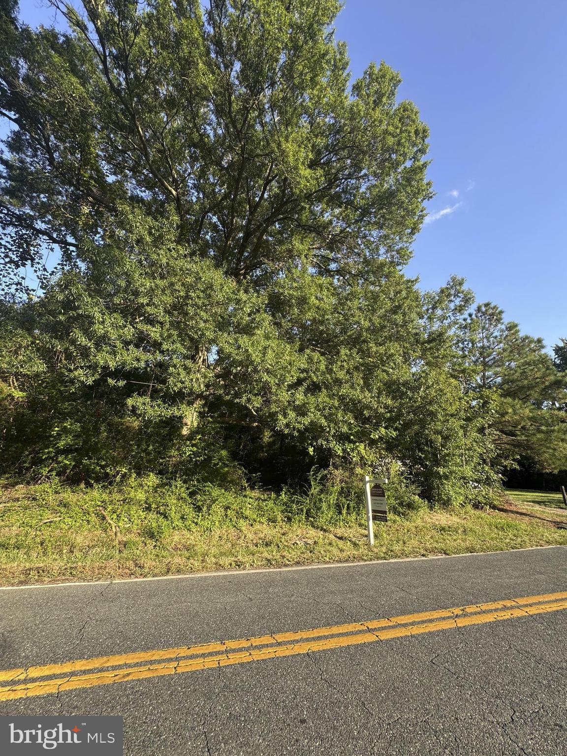1709 Batts Neck Road Stevensville, MD 21666 - Photo 2 of 3 a view of a yard