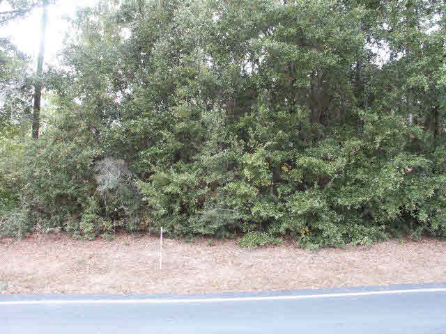 2827 Avenida Alberto Lillian, AL 36549 - Photo 1 of 1