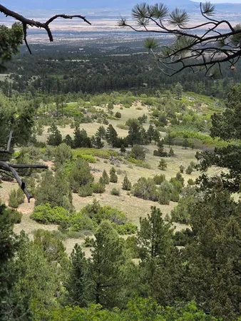 $2,750,000 | 15 County Road 15, Florence, CO 81226
