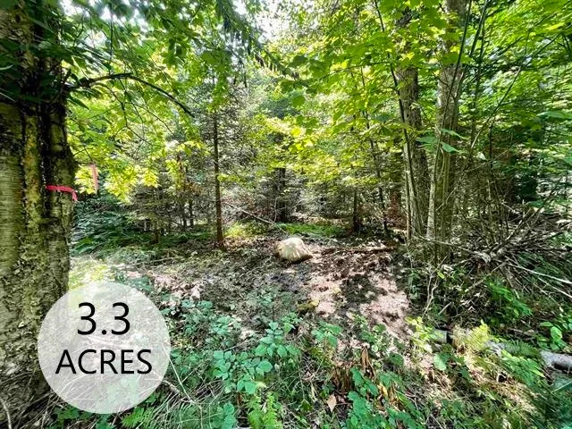 $85,000 | 0 Peene Hill Road, Barton, VT 05822