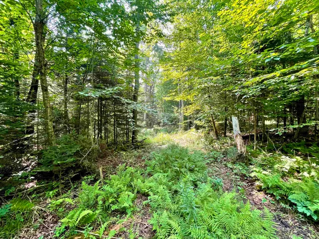 $85,000 | 0 Peene Hill Road, Barton, VT 05822