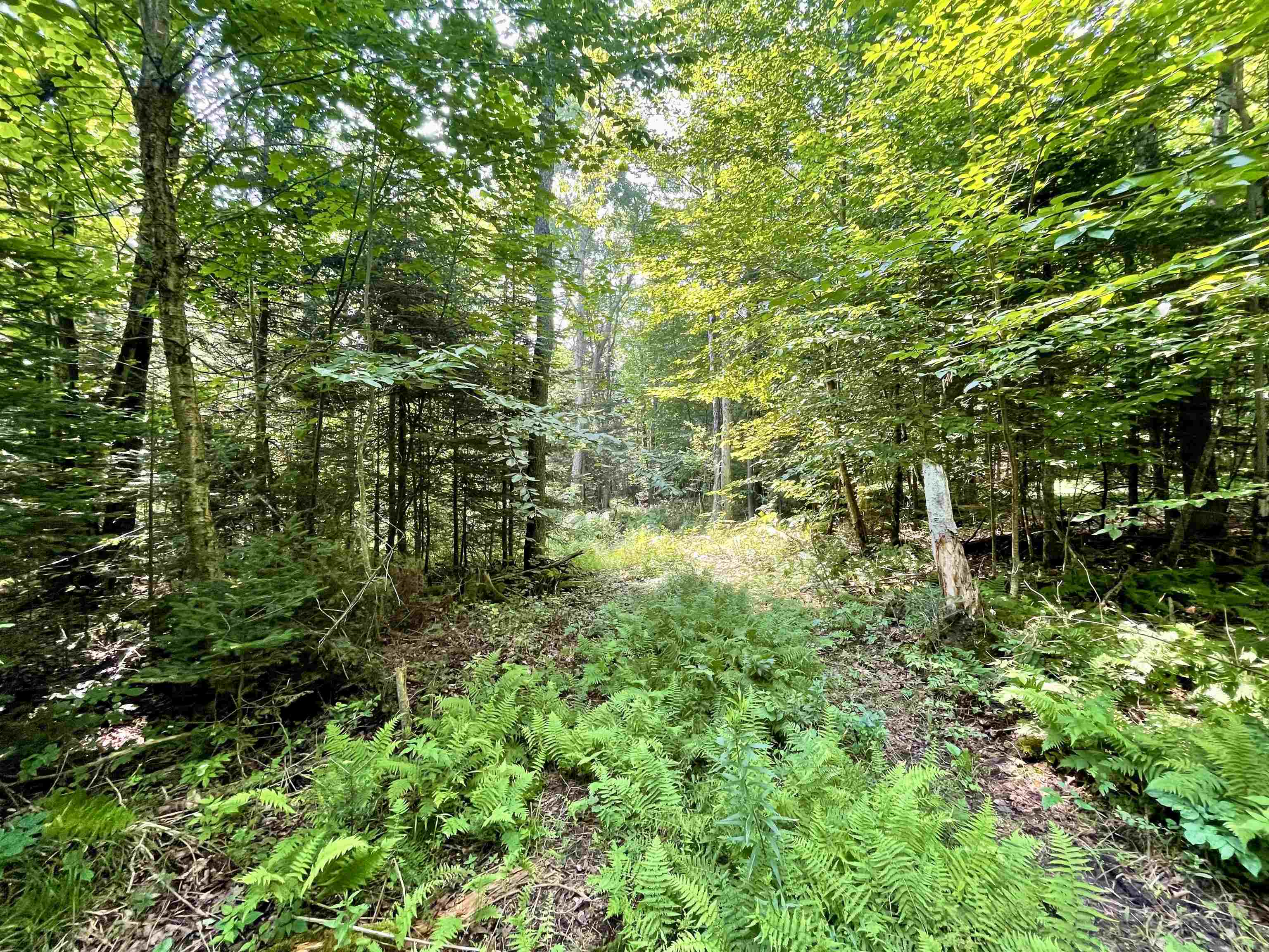 0 Peene Hill Road Barton, VT 05822 - Photo 2 of 8