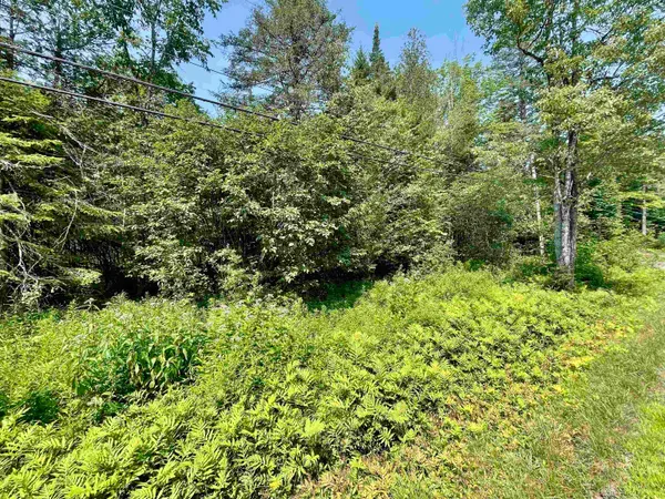 $75,000 | 0 Peene Hill Road, Barton, VT 05822