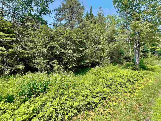 $85,000 | 0 Peene Hill Road, Barton, VT 05822