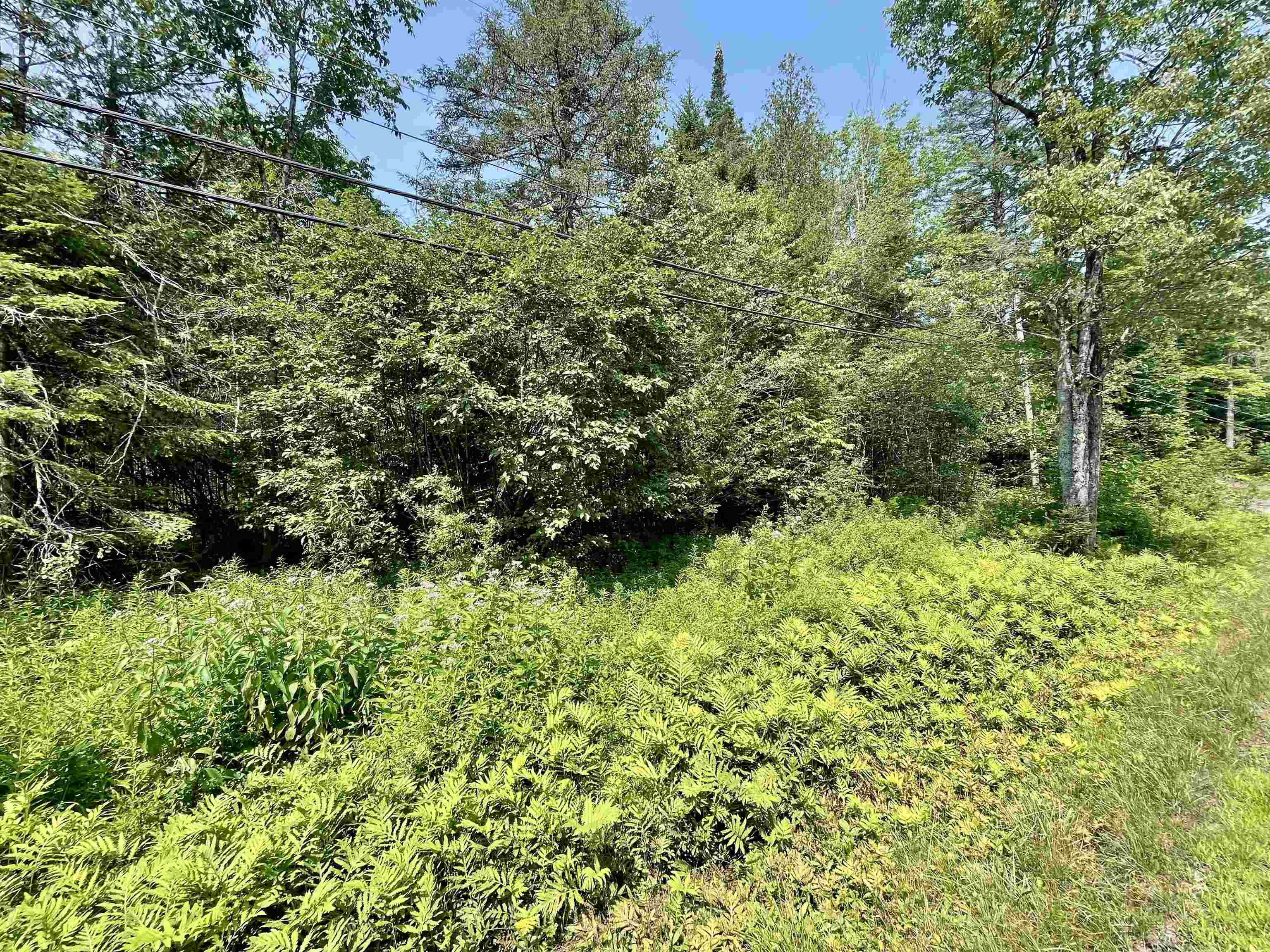 0 Peene Hill Road Barton, VT 05822 - Photo 3 of 8