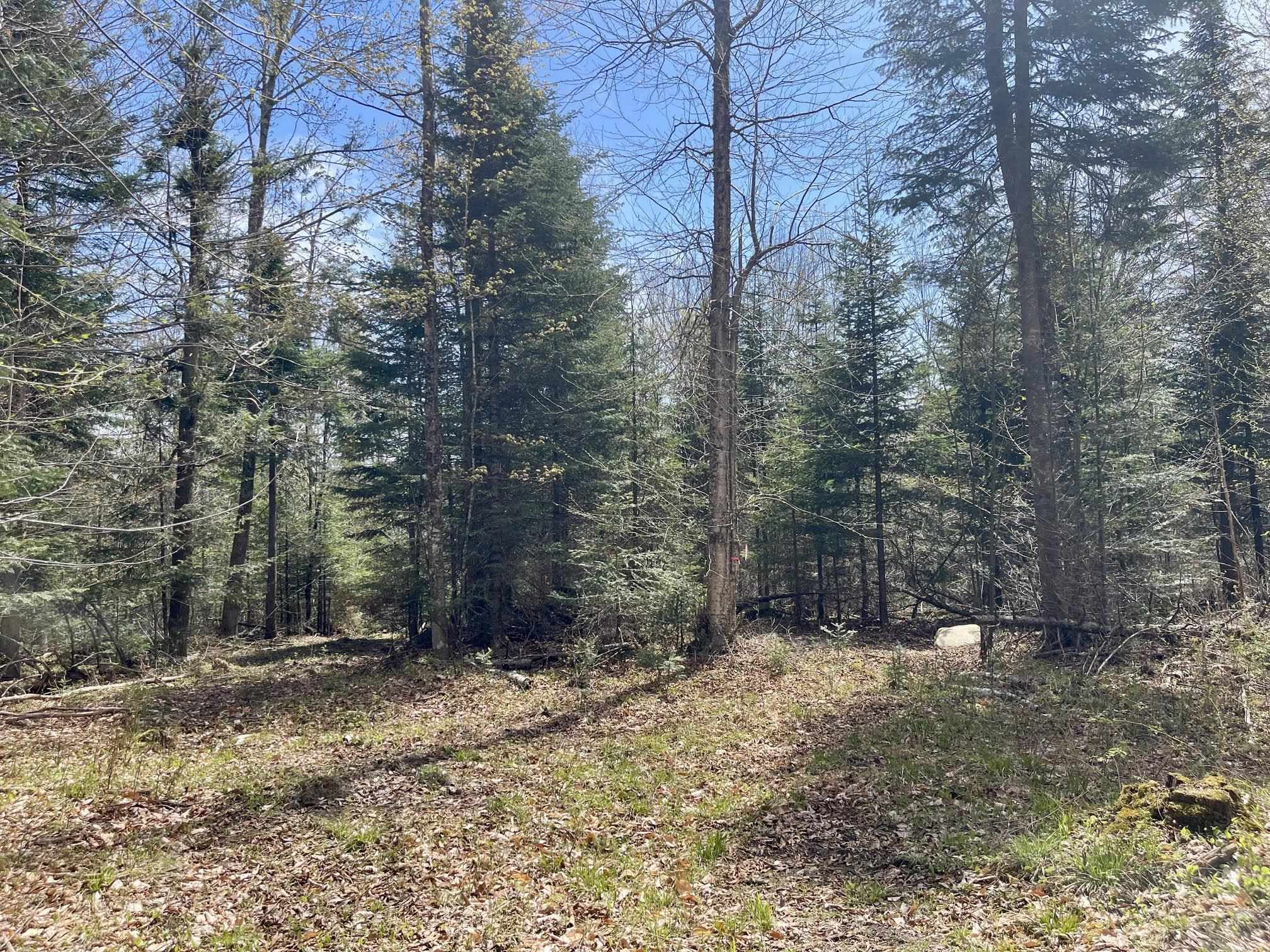 0 Peene Hill Road Barton, VT 05822 - Photo 3 of 12