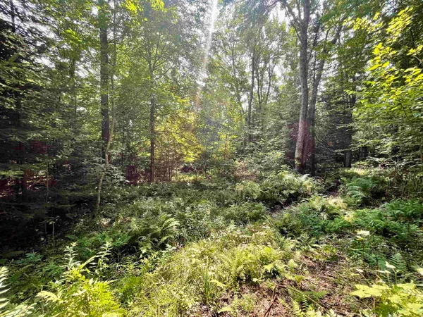 $75,000 | 0 Peene Hill Road, Barton, VT 05822