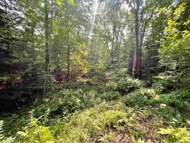 $85,000 | 0 Peene Hill Road, Barton, VT 05822