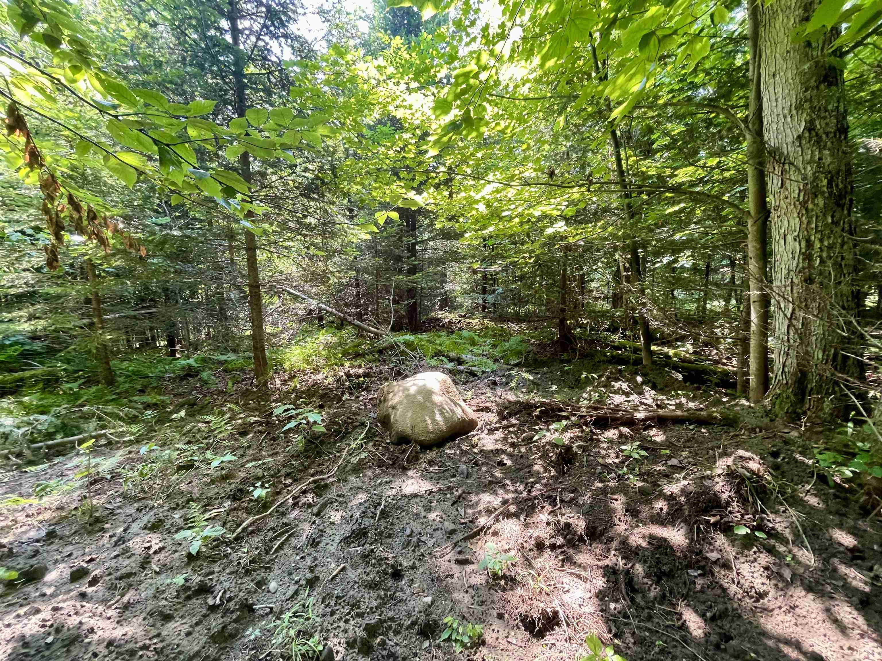 0 Peene Hill Road Barton, VT 05822 - Photo 5 of 8