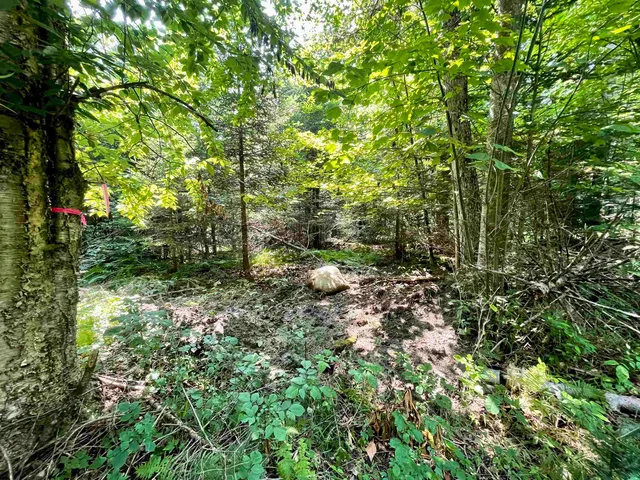 $85,000 | 0 Peene Hill Road, Barton, VT 05822