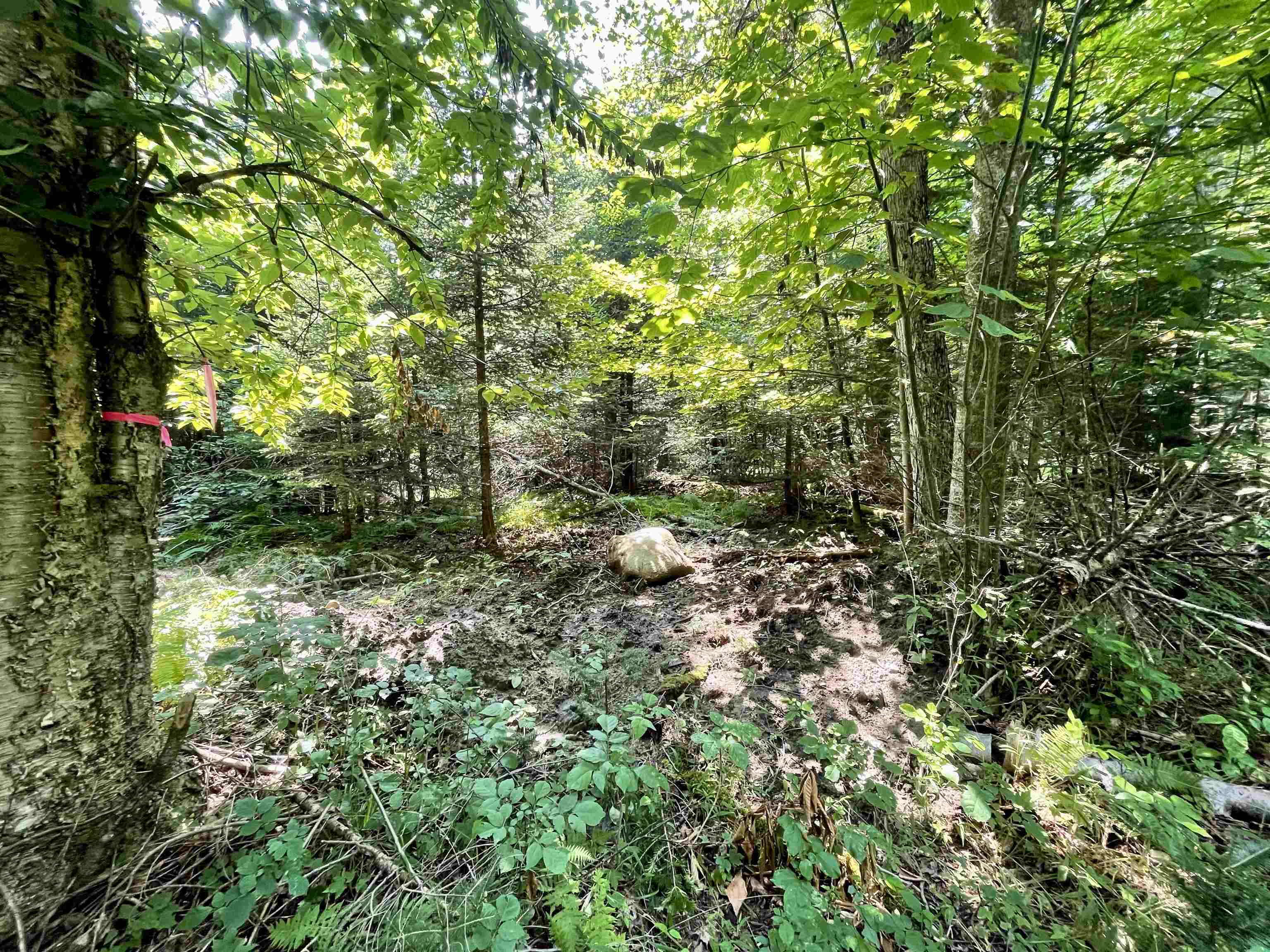 0 Peene Hill Road Barton, VT 05822 - Photo 6 of 8