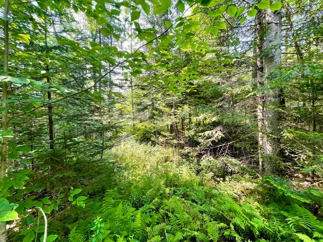 $85,000 | 0 Peene Hill Road, Barton, VT 05822