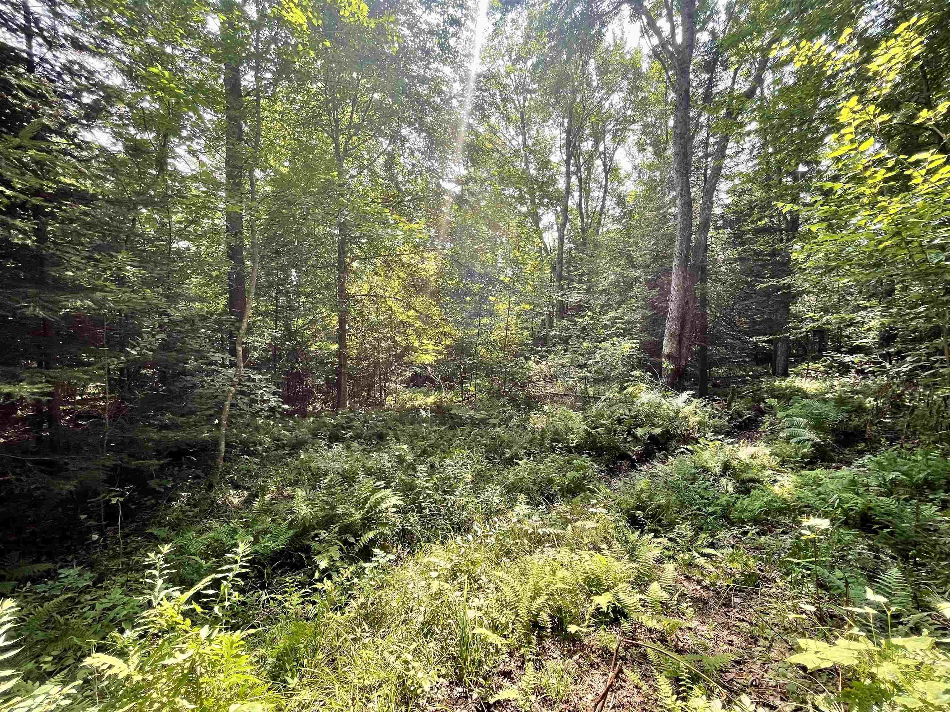 0 Peene Hill Road Barton, VT 05822 - Photo 8 of 12