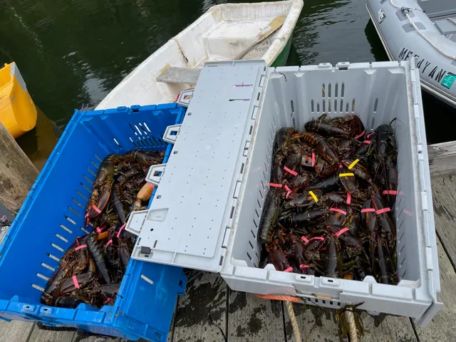 $315,000 | 471 S Road, Unit A, Chebeague Island, ME 04017