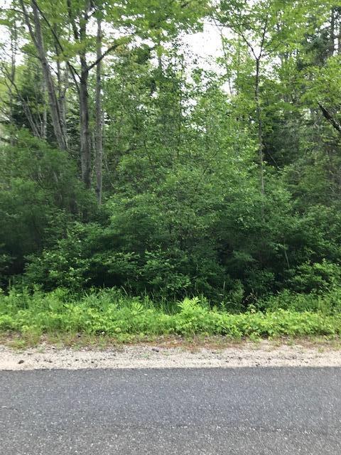 471 S Road, Unit A Chebeague Island, ME 04017 - Photo 8 of 24 Road Frontage