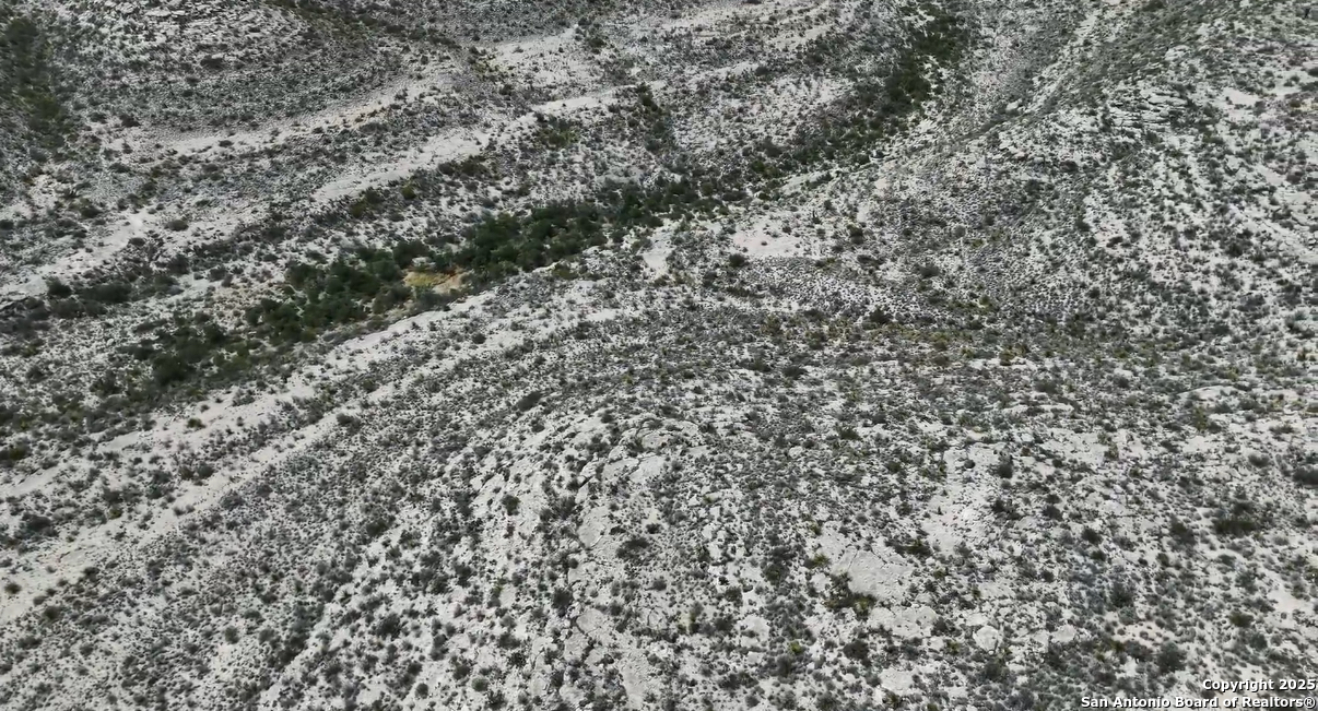 Tbd 5 Mile Road Dryden, TX 79848 - Photo 9 of 13 a view of a yard