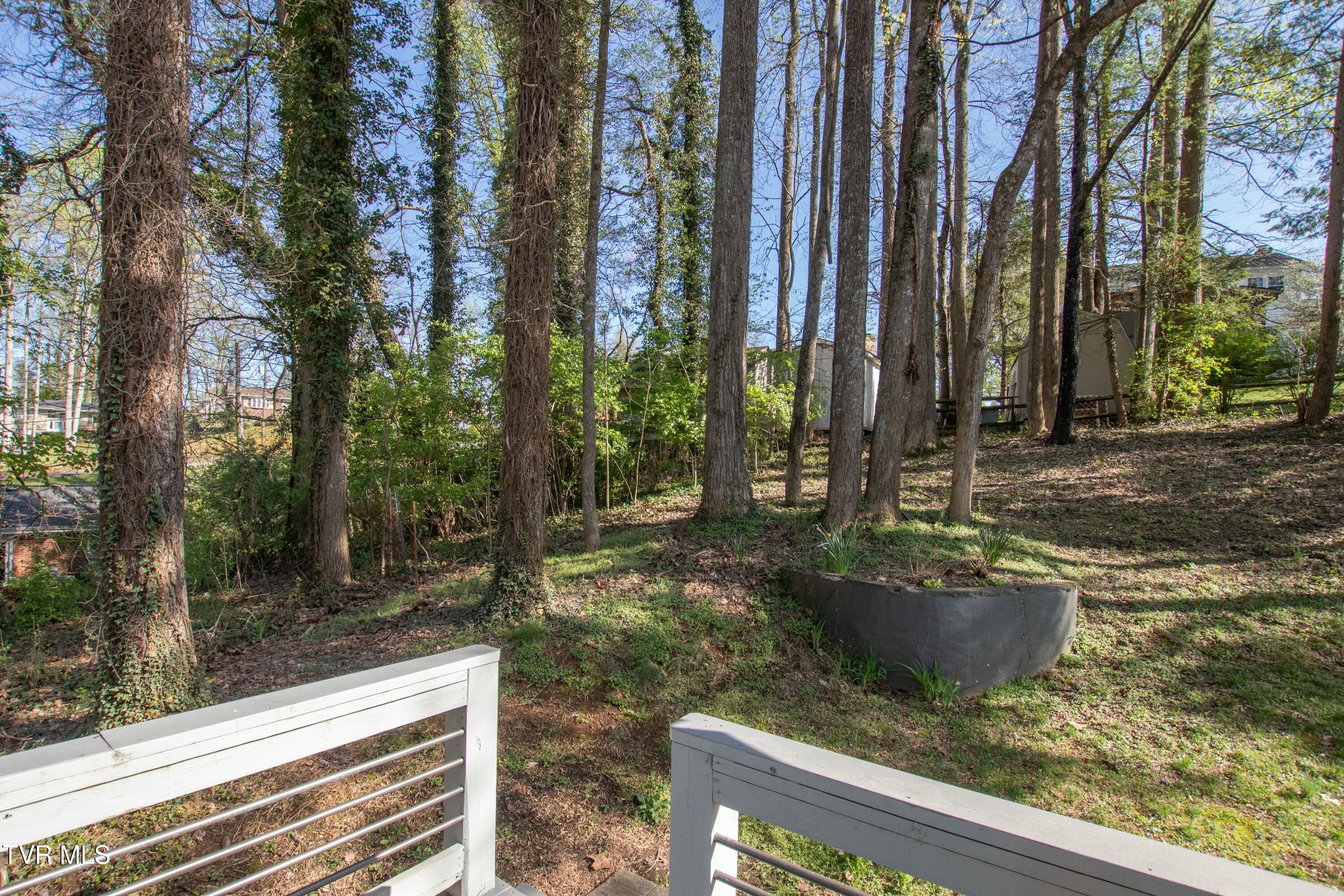 416 Mockingbird Road Bristol, TN 37620 - Photo 34 of 43 tempImagejs0xsQ