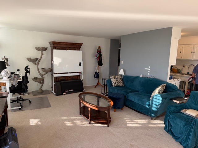 40 North Tower Road, Unit 11K Oak Brook, IL 60523 - Photo 2 of 9 a living room with furniture and a fireplace