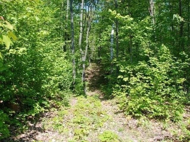 5691 Oak Ridge Drive Gladwin, MI 48624 - Photo 27 of 74