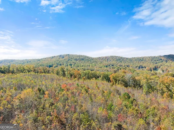 $650,000 | 54 Totherow Road, Cleveland, GA 30528