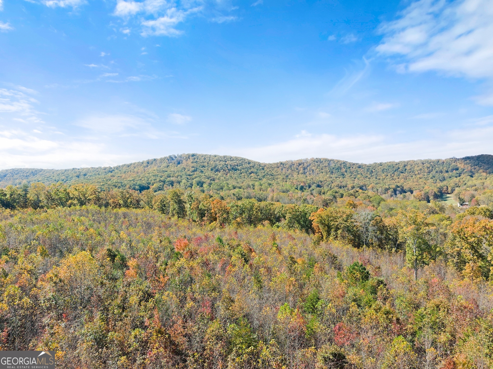 54 Totherow Road Cleveland, GA 30528 - Photo 21 of 25