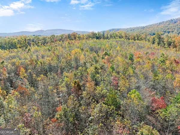 $650,000 | 54 Totherow Road, Cleveland, GA 30528