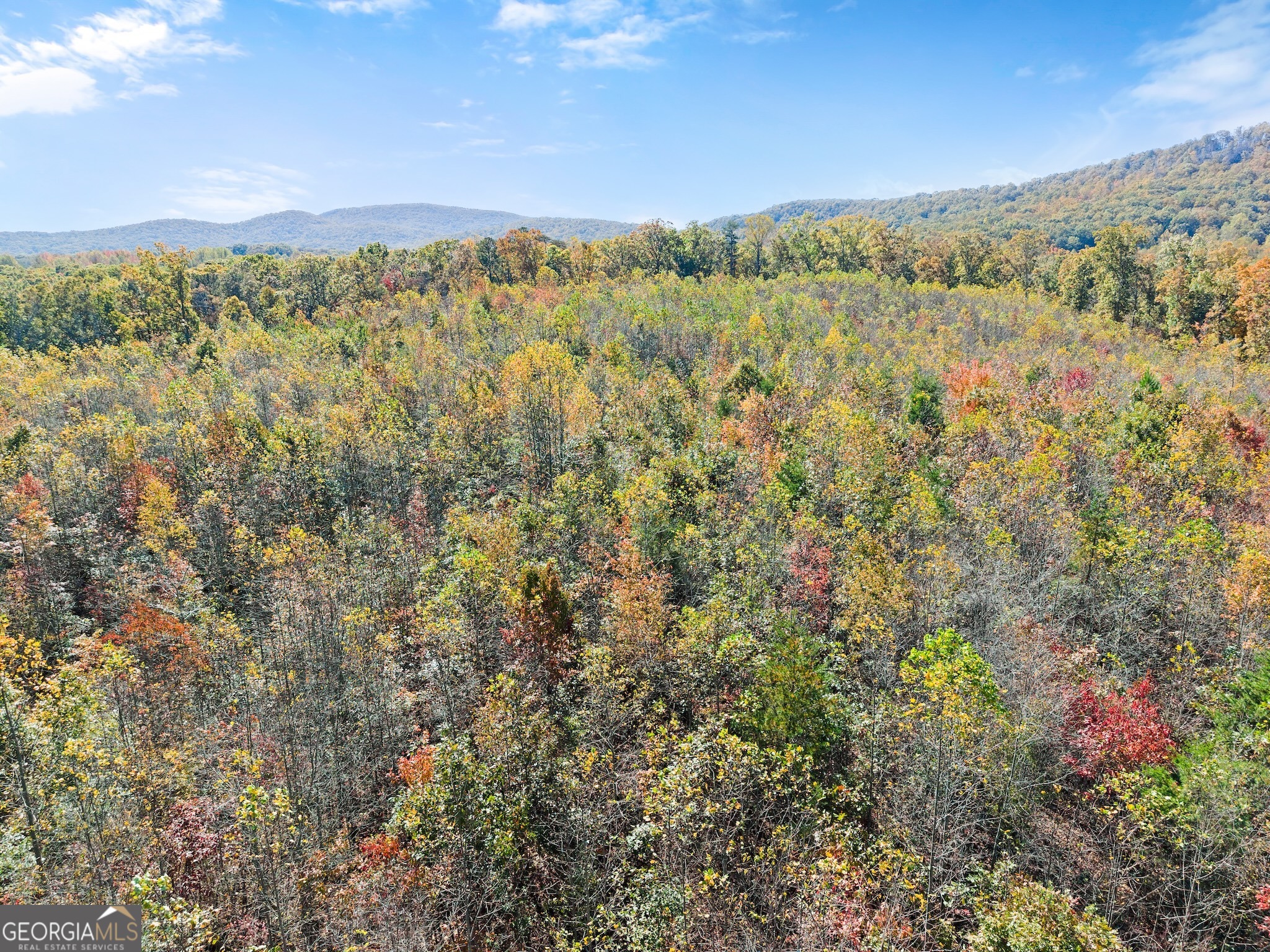 54 Totherow Road Cleveland, GA 30528 - Photo 22 of 25