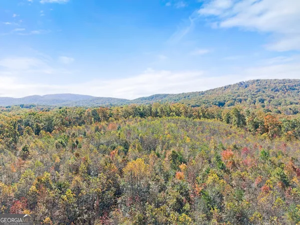 $650,000 | 54 Totherow Road, Cleveland, GA 30528