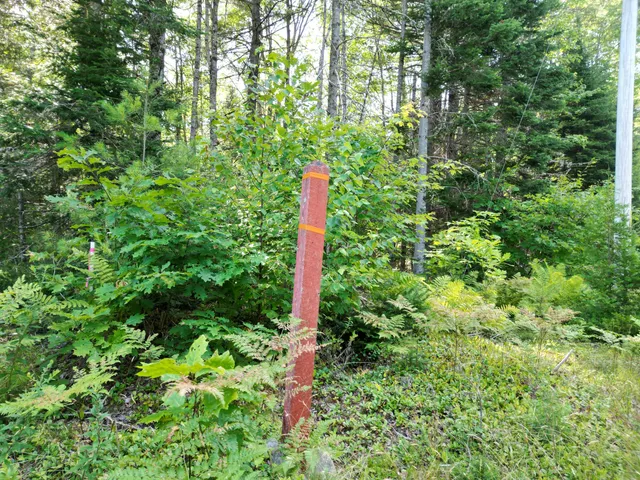 $39,900 | Tbd Edinburg Road, Howland, ME 04448