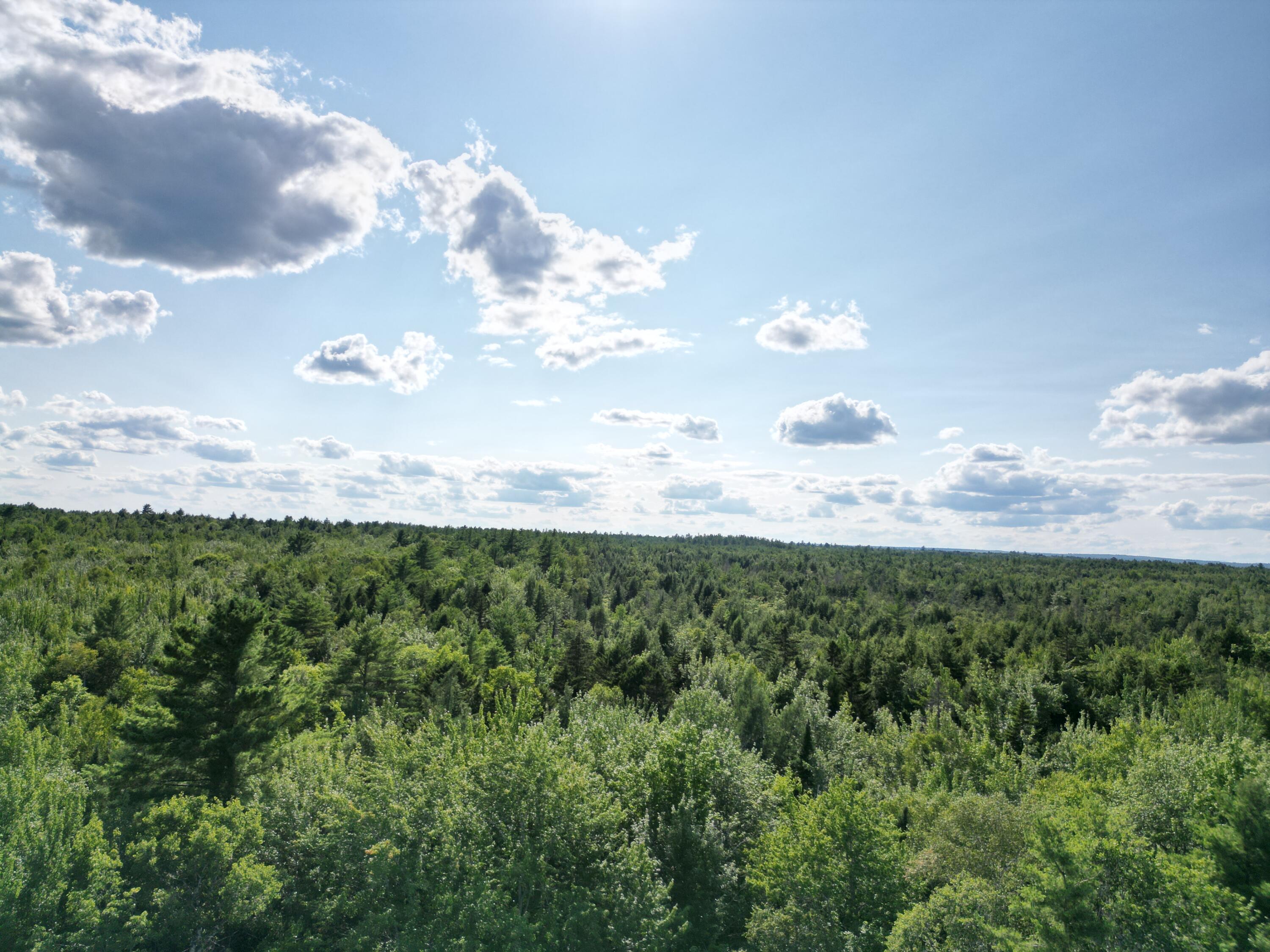 Tbd Edinburg Road Howland, ME 04448 - Photo 14 of 19 DJI_0210