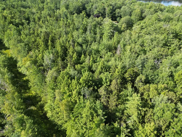 $39,900 | Tbd Edinburg Road, Howland, ME 04448