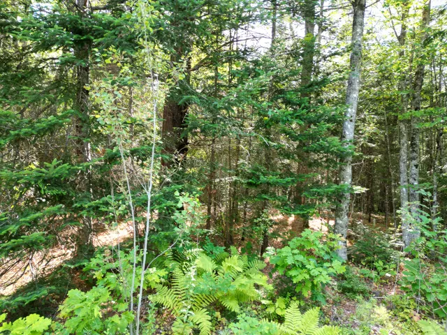 $39,900 | Tbd Edinburg Road, Howland, ME 04448