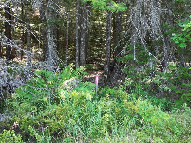 $39,900 | Tbd Edinburg Road, Howland, ME 04448