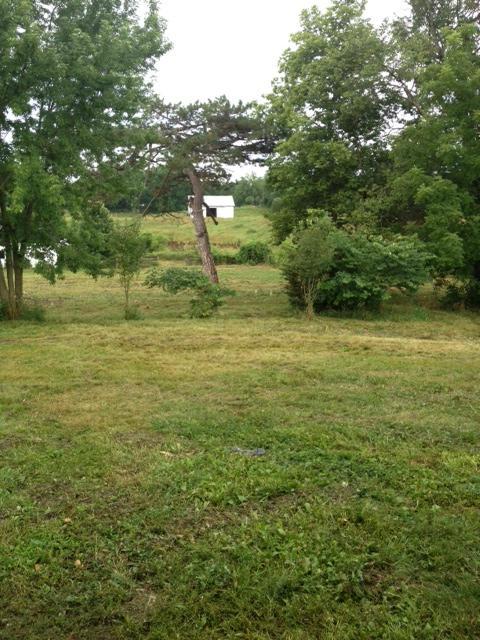 455 Clear Run Road Delaware, OH 43015 - Photo 5 of 21