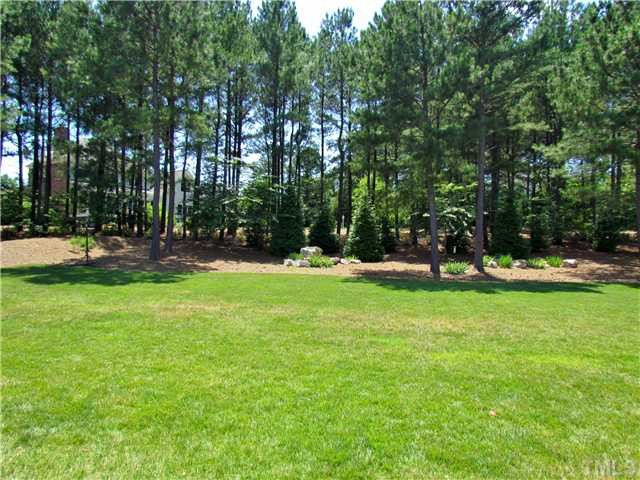 2608 Drommore Lane Raleigh, NC 27614 - Photo 2 of 25 Back Yard
