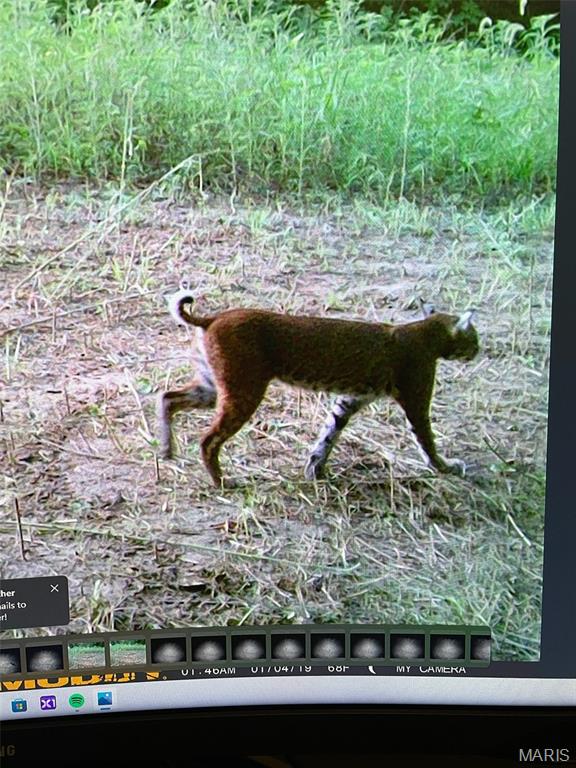 4037 Wetzler Road Fults, IL 62244 - Photo 5 of 68