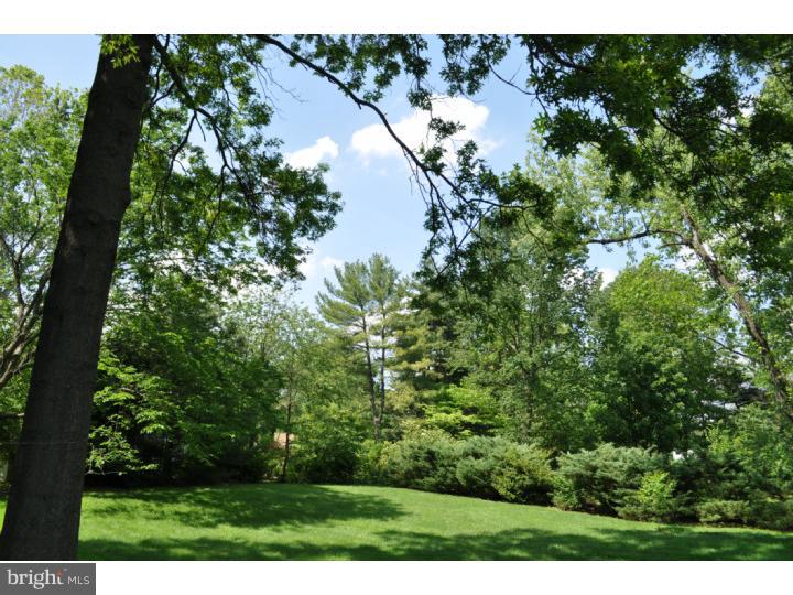 1700 Holmes Road Ambler, PA 19002 - Photo 17 of 17 Back Yard