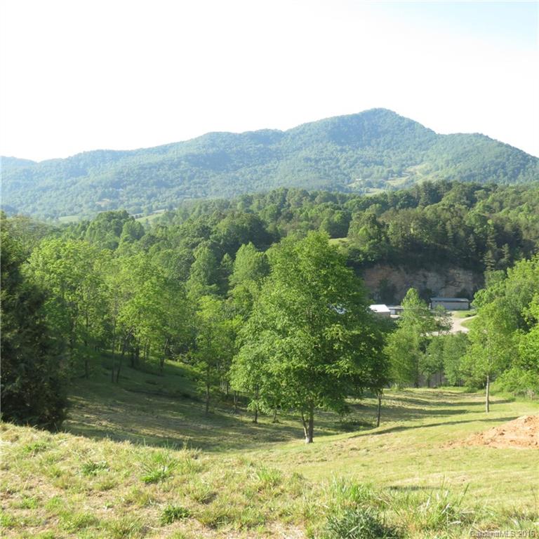 Lot 20 Haystack Road, Unit 20 Waynesville, NC 28785 - Photo 8 of 23 a view of a mountain from a yard