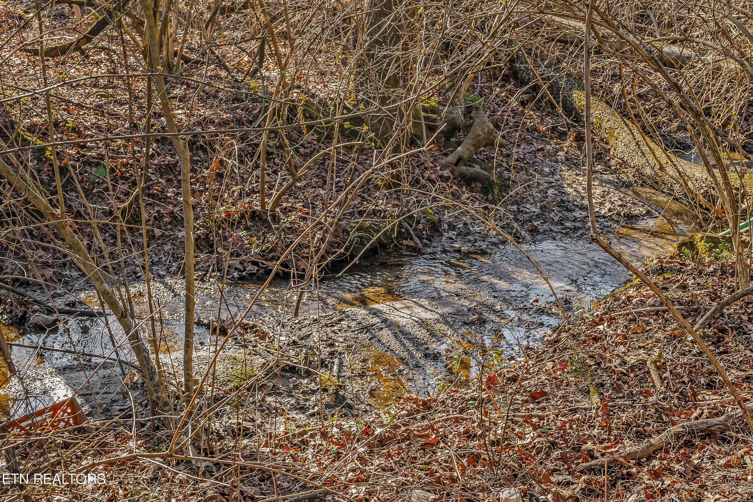 679 Cook Road Crossville, TN 38555 - Photo 40 of 41 DSC00138