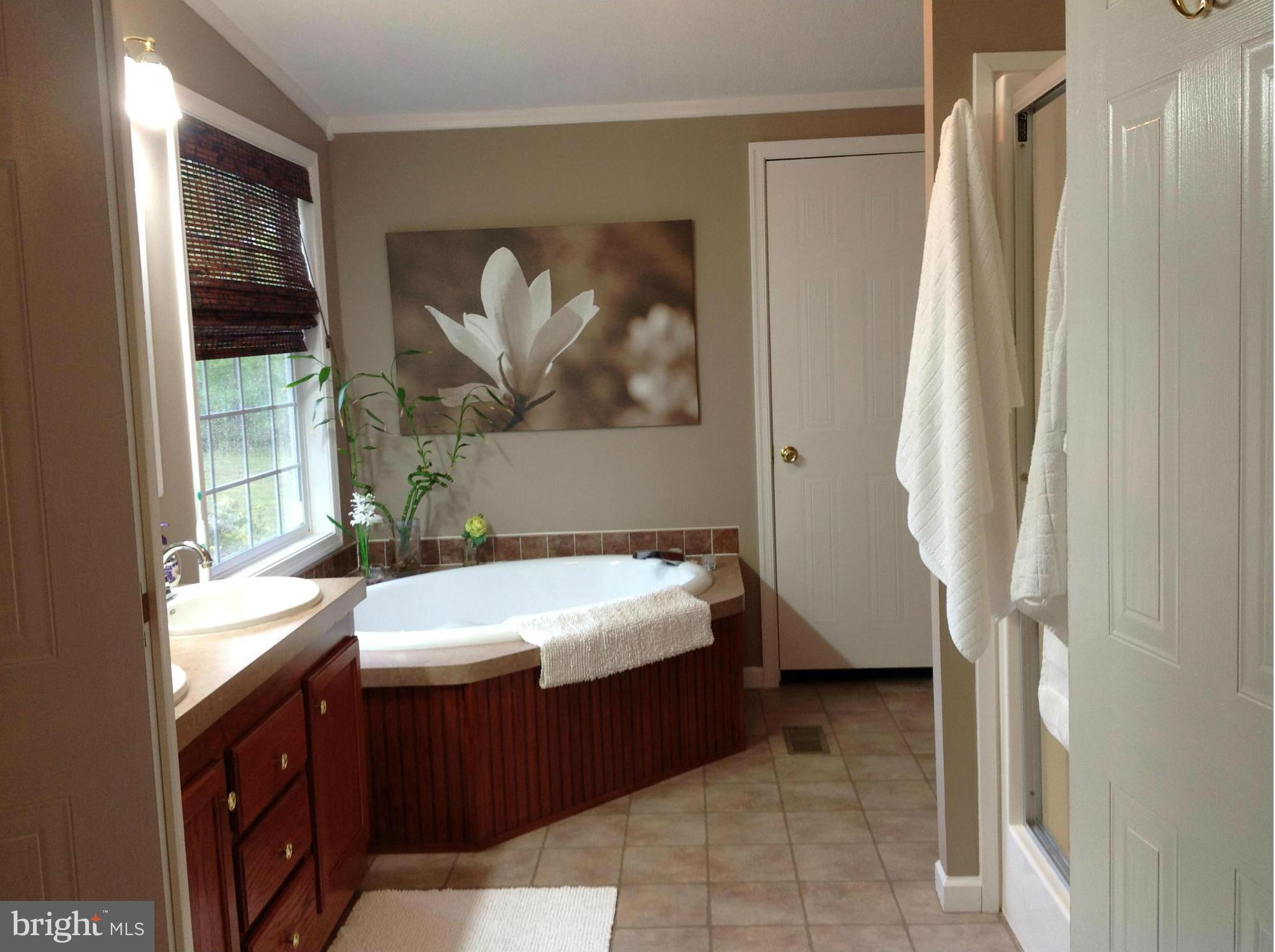 6001 Glebe Run Road Partlow, VA 22534 - Photo 25 of 30 Bath (Master)