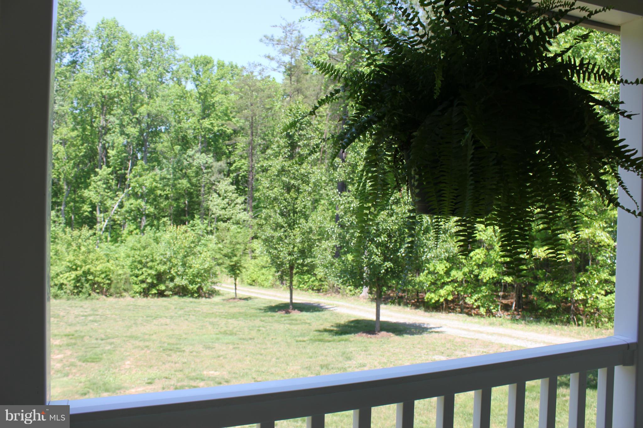 6001 Glebe Run Road Partlow, VA 22534 - Photo 3 of 30 Exterior (General)